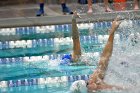 Swimming & Diving vs Babson  Swimming & Diving vs Babson College. - Photo by Keith Nordstrom : Wheaton, Swimming